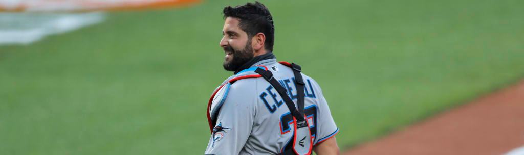 Cervelli