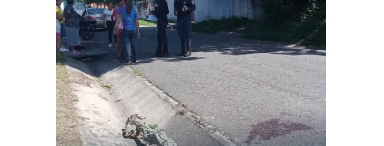 San Felipe: Muere niño tras caer la rama de un árbol