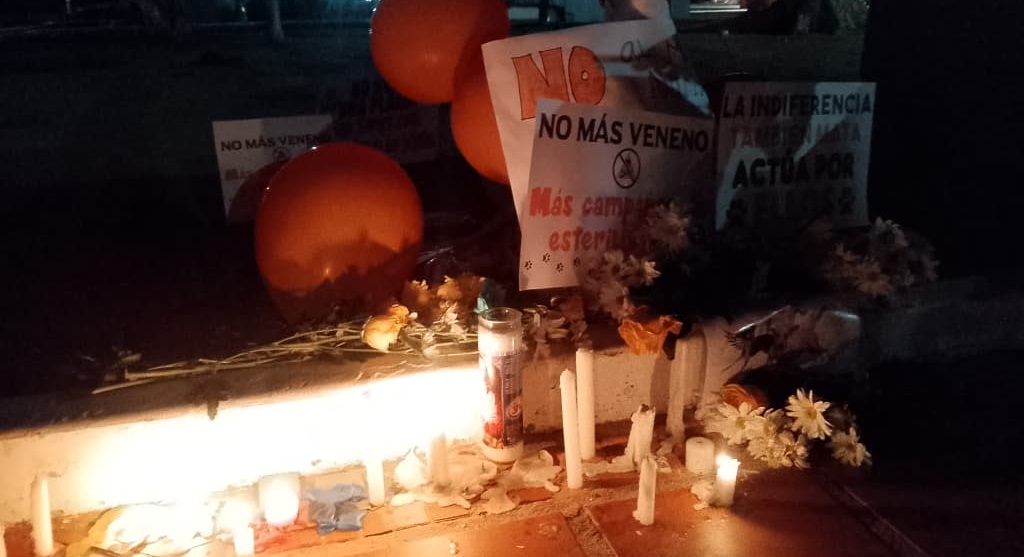 Vigilia por las mascotas envenenadas en Ciudad Ojeda